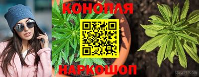 трава Брянск