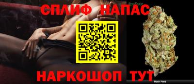сатива Братск
