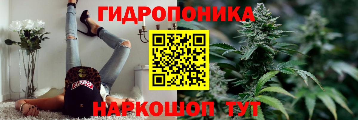 Бошки Шишки сатива  Бошки Шишки ГИДРОПОН  Вход с VPN  Благовещенск 